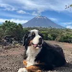 Casinha Melissa